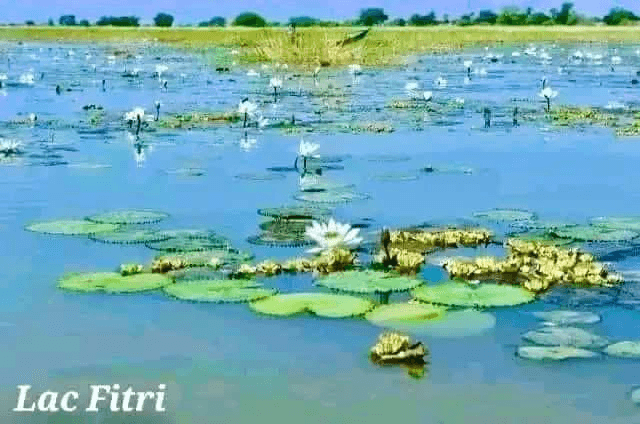 Lac Fitri